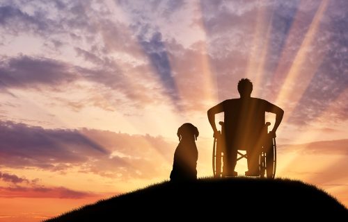 Person in wheelchair with a dog watching the sun rays