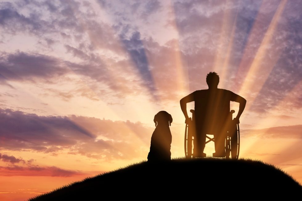 Person in wheelchair with a dog watching the sun rays